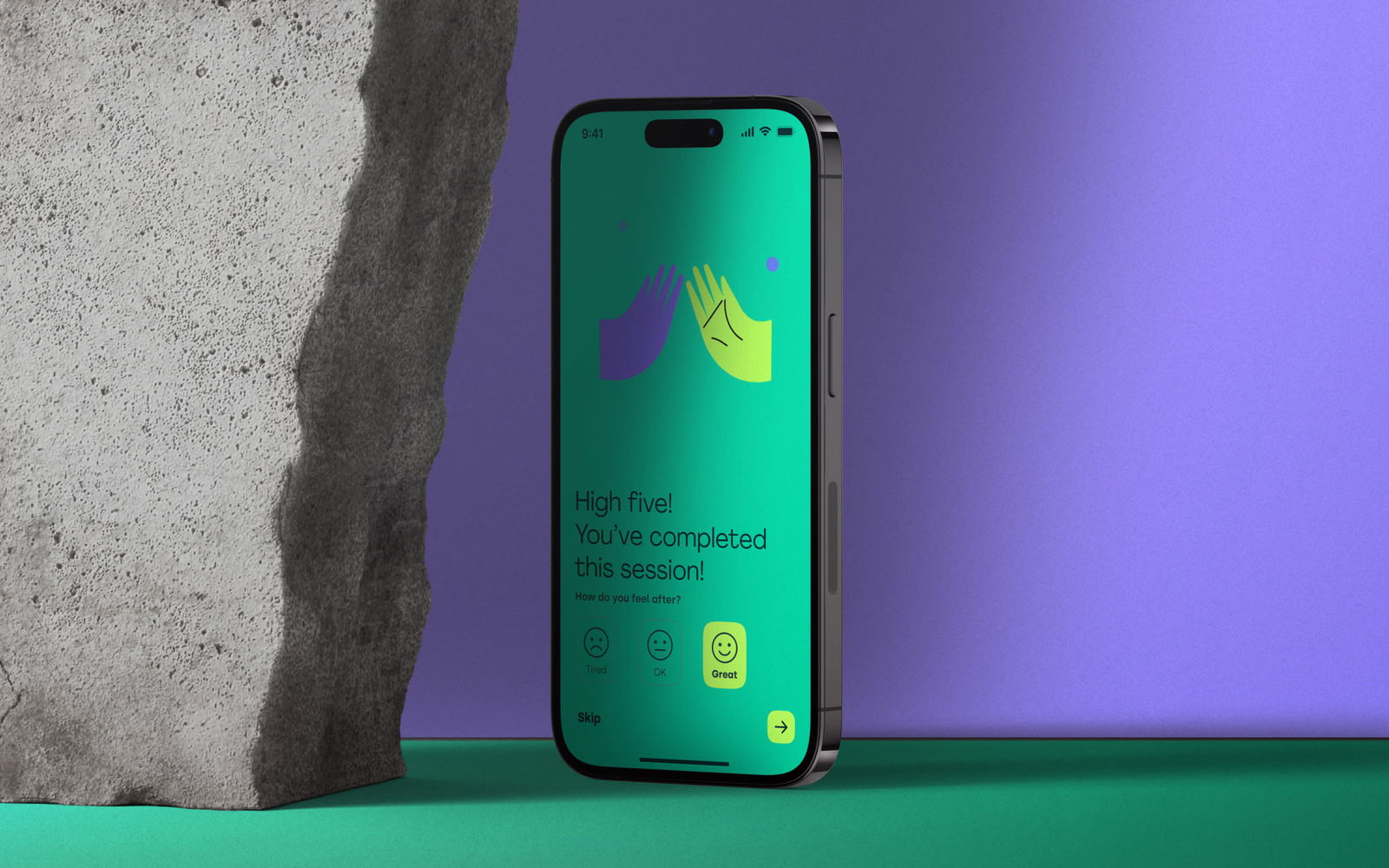 carifit software development