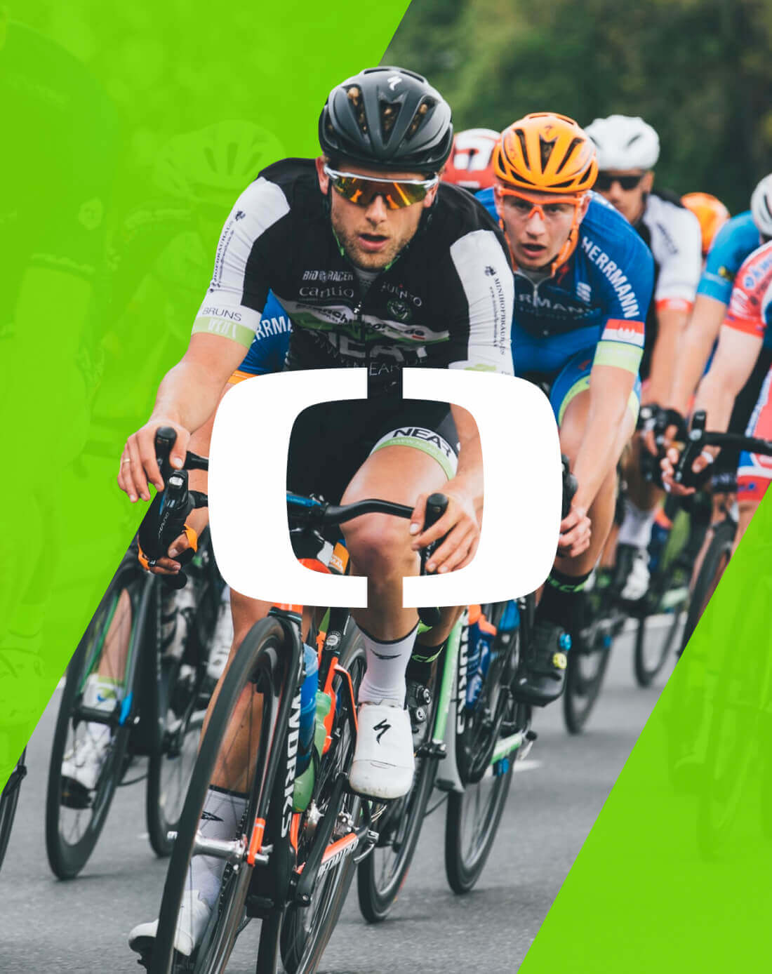 website development reference