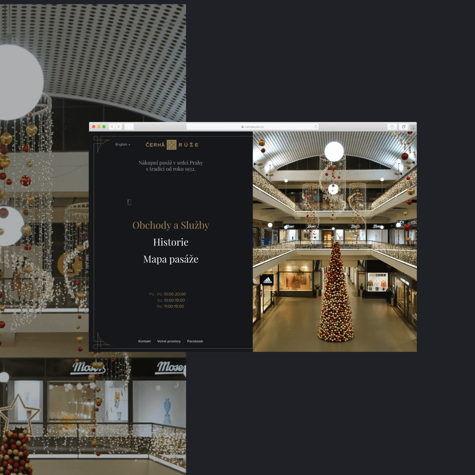 cerna ruze webdesign reference