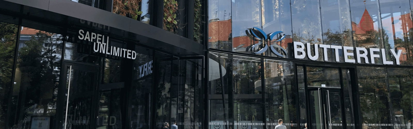 sapeli app development