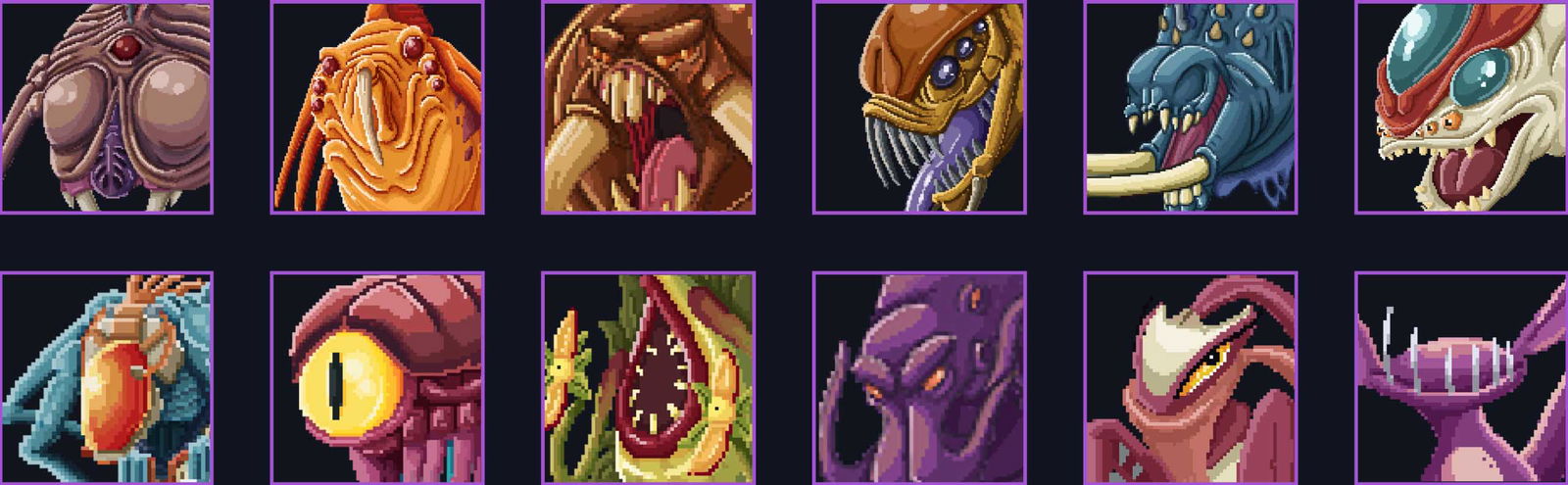 spacecatch dedicated team