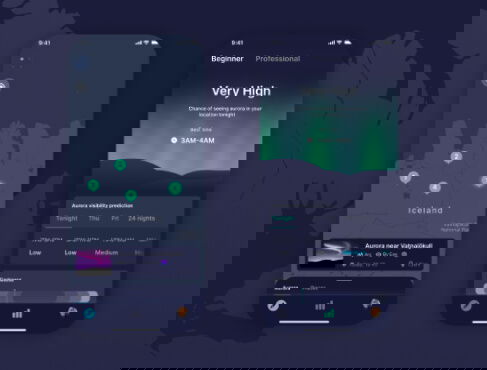 ui design agency services 3