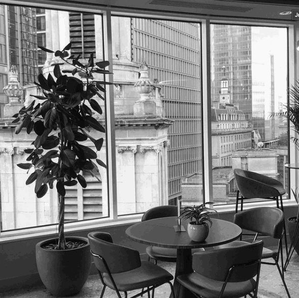 pixelfield developers career